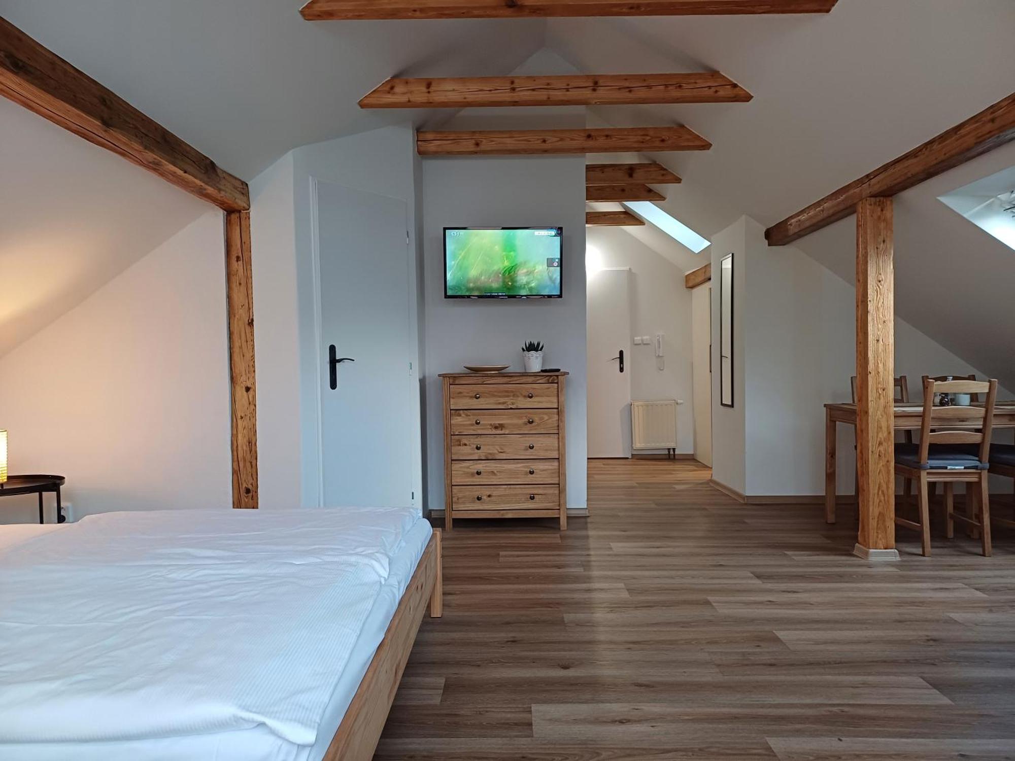 Loft Apartment Karlovy Vary Exterior photo