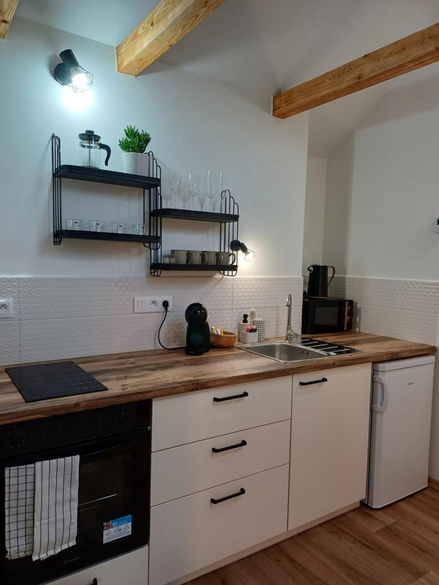 Loft Apartment Karlovy Vary Exterior photo